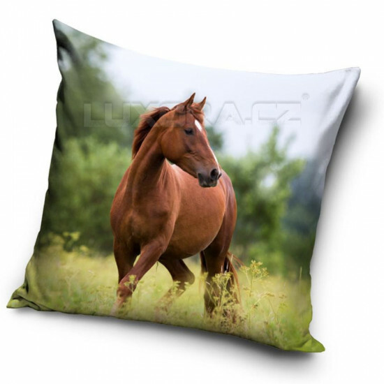 Povlak Kůň hnědák - PP469657hl