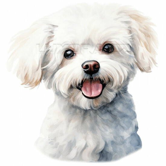 Nažehlovačka Bišonek hlava - NAŽ163/hl