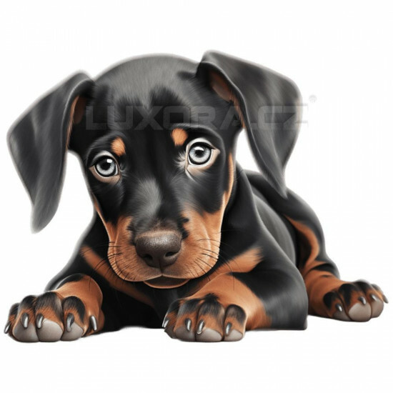 Nažehlovačka Dobrman štěně - NAŽ195/hl