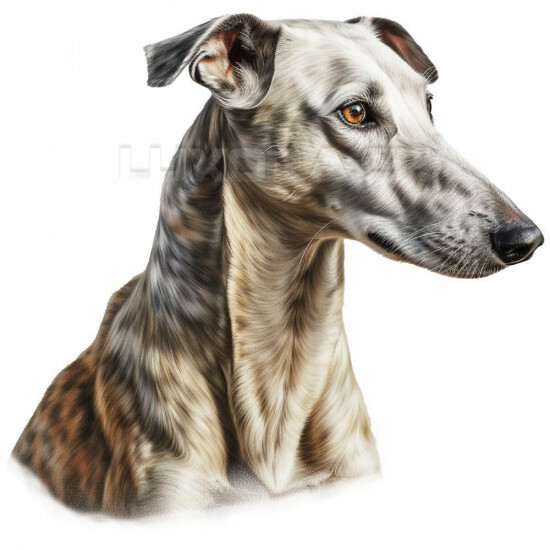 Nažehlovačka Chrt hlava - NAŽ199/hl