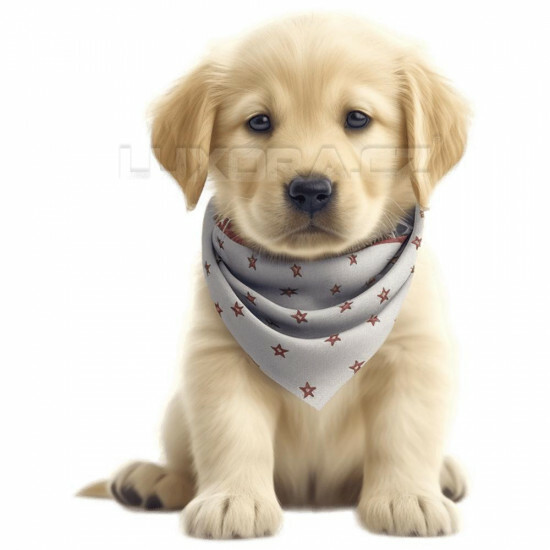 Nažehlovačka Zlatý retrívr štěně puntíkovaný šátek - NAŽ302/hl