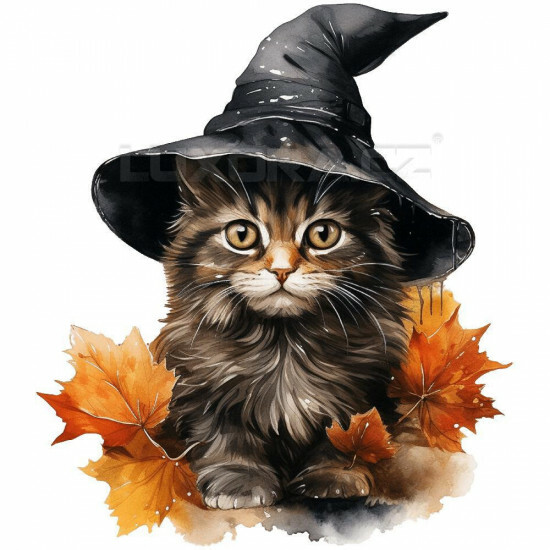 Nažehlovačka Kočka s kouzelným kloboukem - NAŽ474/hl