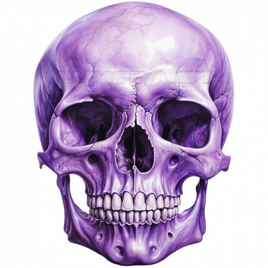 Nažehlovačka Lebka fialová - NAŽ485/hl