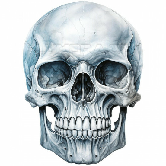 Nažehlovačka Lebka bílá - NAŽ483/hl