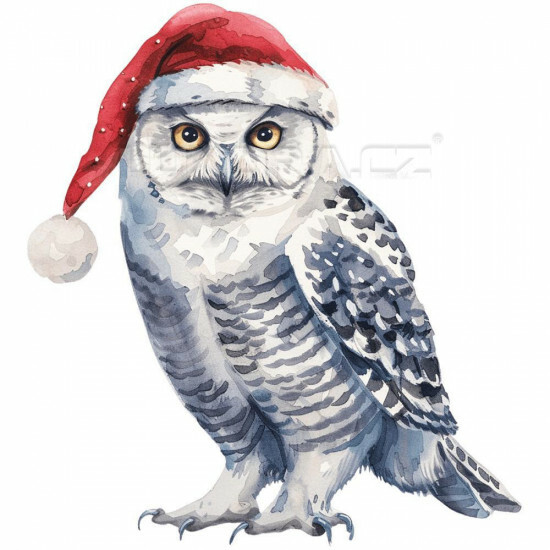 Nažehlovačka Sova pálená s vánoční čepicí - NAŽ614/hl
