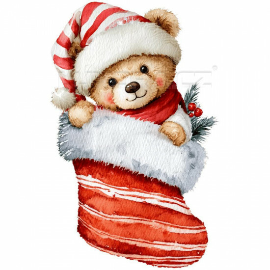 Nažehlovačka Medvídek v ponožce - NAŽ649/hl