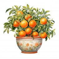 Nažehlovačka Pomerančovník