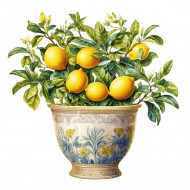 Nažehlovačka Citrónovník