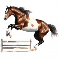 Nažehlovačka Americký strakatý kůň parcour