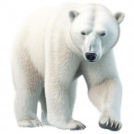 Nažehlovačka Medvěd lední