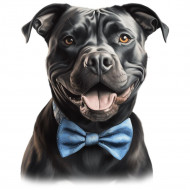 Nažehlovačka Stafort s modrým motýlkem