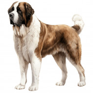 Nažehlovačka Bernardýn