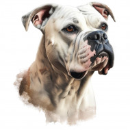 Nažehlovačka Americký buldog hlava