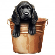 Nažehlovačka Kokršpaněl štěně v kyblíku