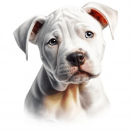 Nažehlovačka Pitbull štěně bílé