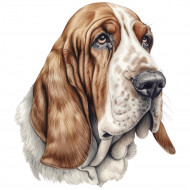 Nažehlovačka Baset hlava