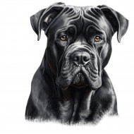 Nažehlovačka Cane Corso hlava
