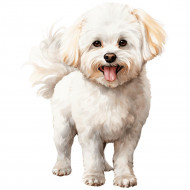 Nažehlovačka Bišonek