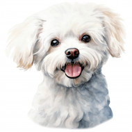 Nažehlovačka Bišonek hlava