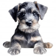 Nažehlovačka Knírač štěně