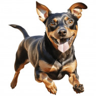 Nažehlovačka Trpasličí pinč