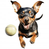 Nažehlovačka Trpasličí pinč a míček