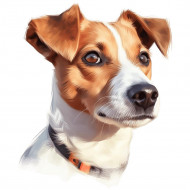 Nažehlovačka Jack Russel