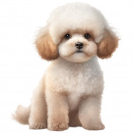 Nažehlovačka Pudl bílý štěně