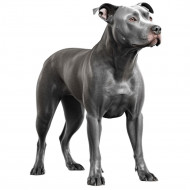 Nažehlovačka Pitbull šedý