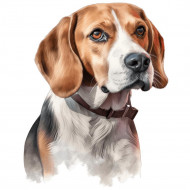 Nažehlovačka Bígl