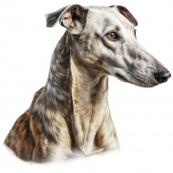 Nažehlovačka Chrt hlava