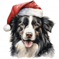 Nažehlovačka Border kolie s vánoční čepicí