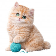 Nažehlovačka Koťátko a tyrkysové klubíčko