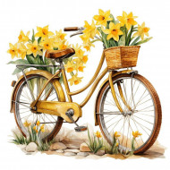 Nažehlovačka Kolo a narcisy